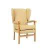 Ochre Jubilee Fireside Chair FSC008OCH