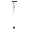 Ziggy Tribase Folding Stick Purple