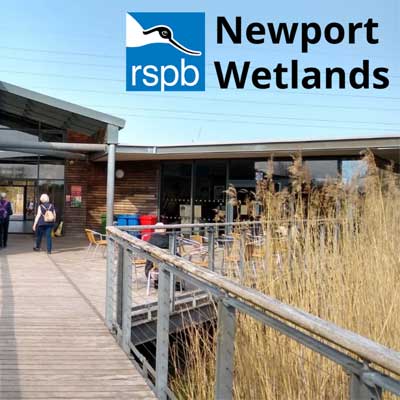 Exploring Newport Wetlands Nature Reserve